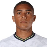 Carlos Vinícius, Fulham