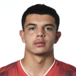 Z. Amdouni, Benfica