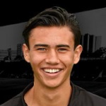 Nathan Tjoe-A-On, Willem II