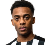 Joe Willock, Newcastle