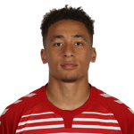 Marcus Tavernier, Bournemouth