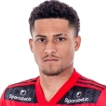 João Gomes, Wolves