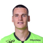 Rémy Descamps, Lyon