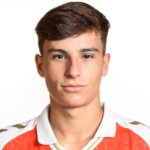 Rodrigo Gomes, Wolves