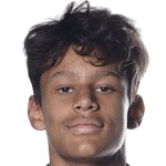 Ugo Raghouber, Lille