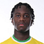 Michel Diaz, Stade Brestois 29