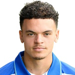 Tristan van Gilst, Heracles