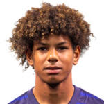 Dehmaine Tabibou, Nantes