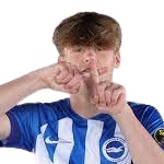 Harry Howell, Brighton