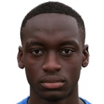 Toti Gomes, Wolves