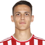Svetozar Marković, Plzen