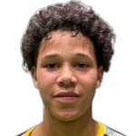 Alexander Røssing-Lelesiit, Hamburger SV