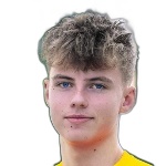 Mikkel Bro Hansen, Bodo/Glimt