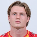 Daam Foulon, Antwerp